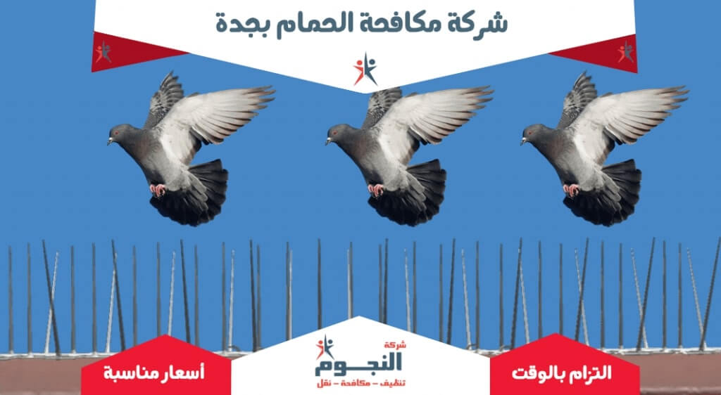 شركة مكافحة الحمام بجدة
