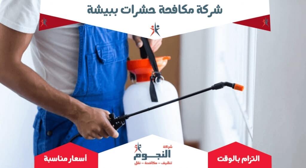 شركة مكافحة حشرات ببيشة