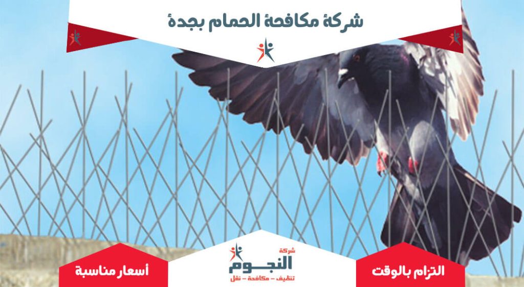 شركة مكافحة الحمام بجدة