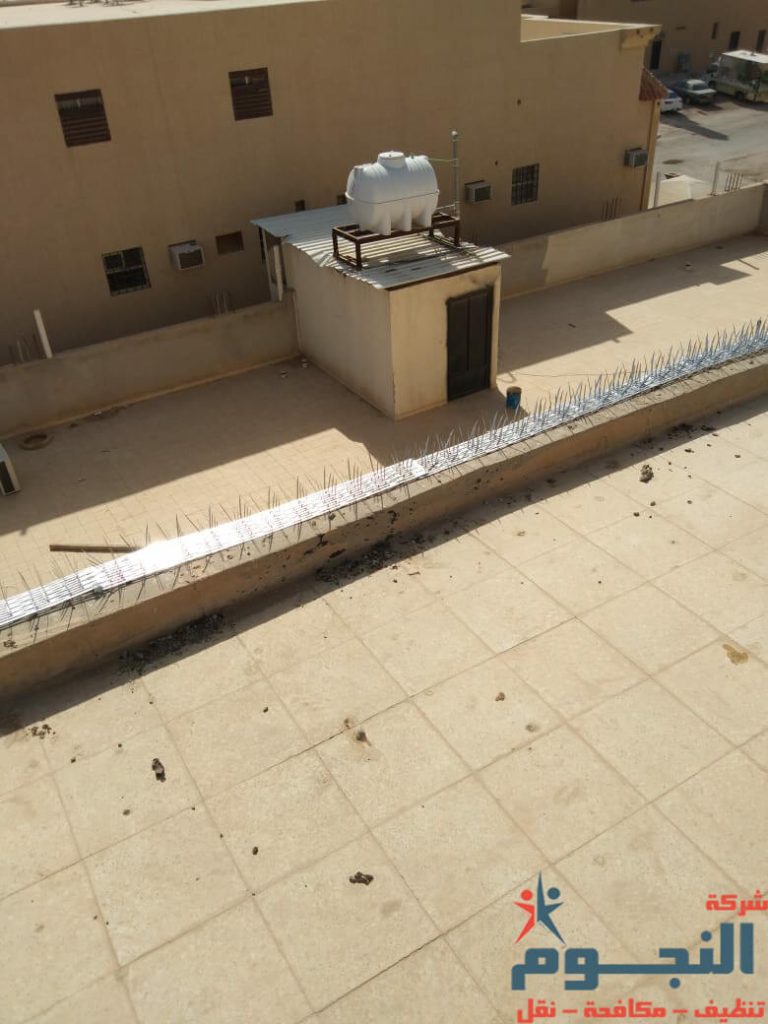 شركة طرد الحمام بالظهران