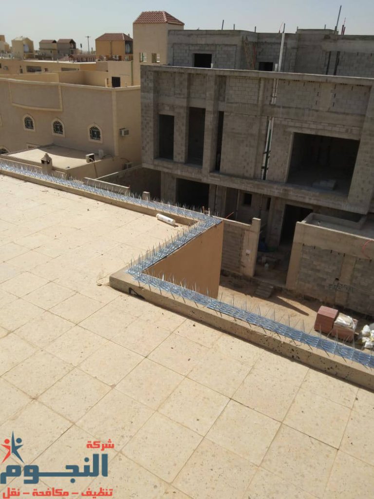 مكافحة الحمام في البيوت بالدمام