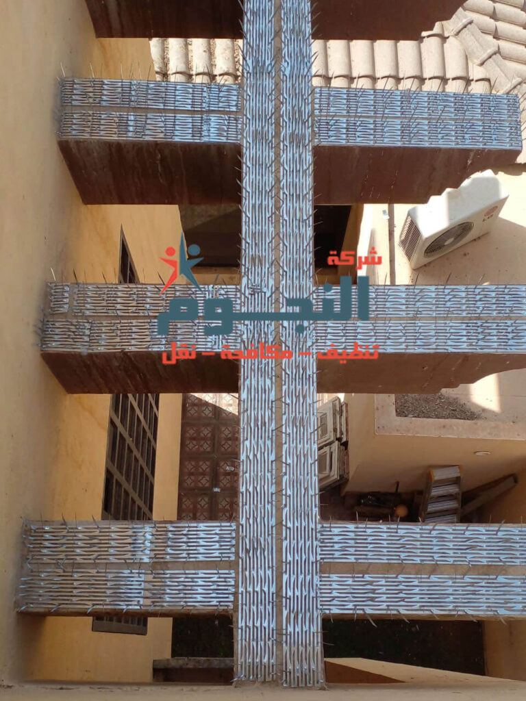 مكافحة الحمام من الأسطح
