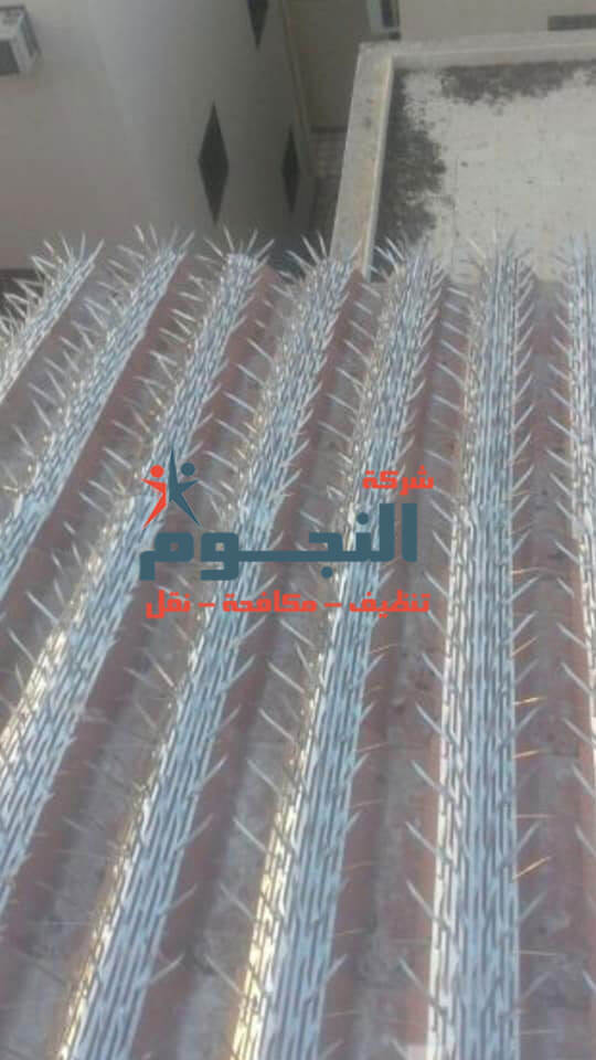 مكافحة الطيور