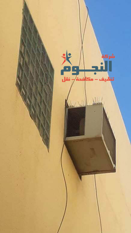 مكافحة الحمام في البيوت