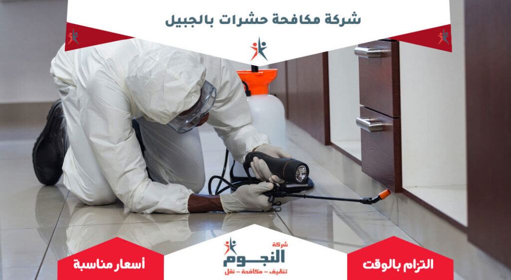 شركة مكافحة حشرات بالجبيل