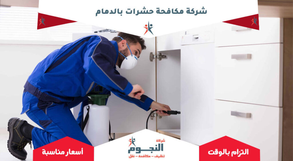 شركة مكافحة حشرات بالدمام