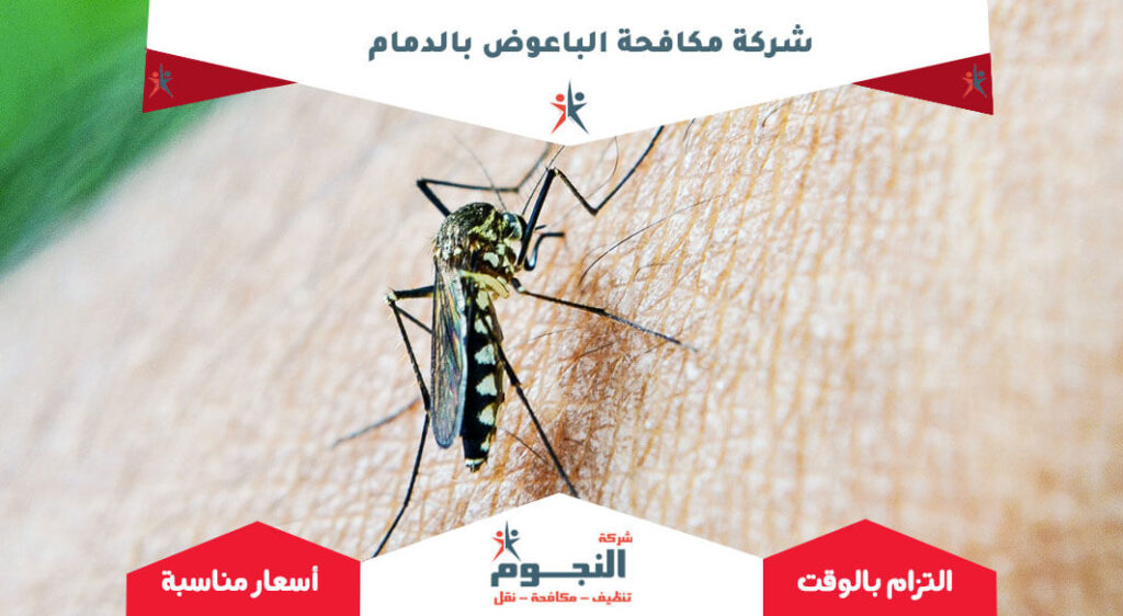 شركة مكافحة الباعوض بالدمام
