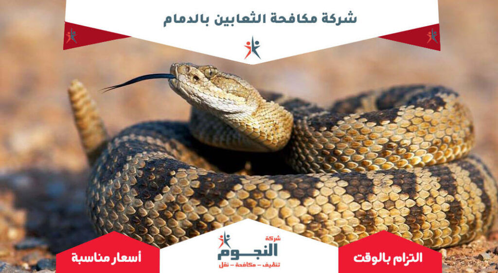 شركة مكافحة الثعابين بالدمام