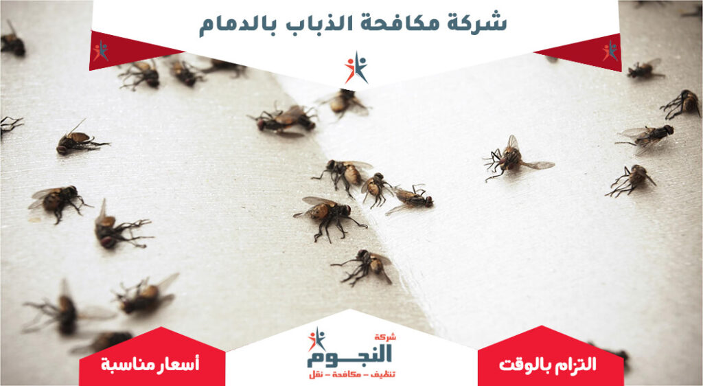 شركة مكافحة الذباب بالدمام